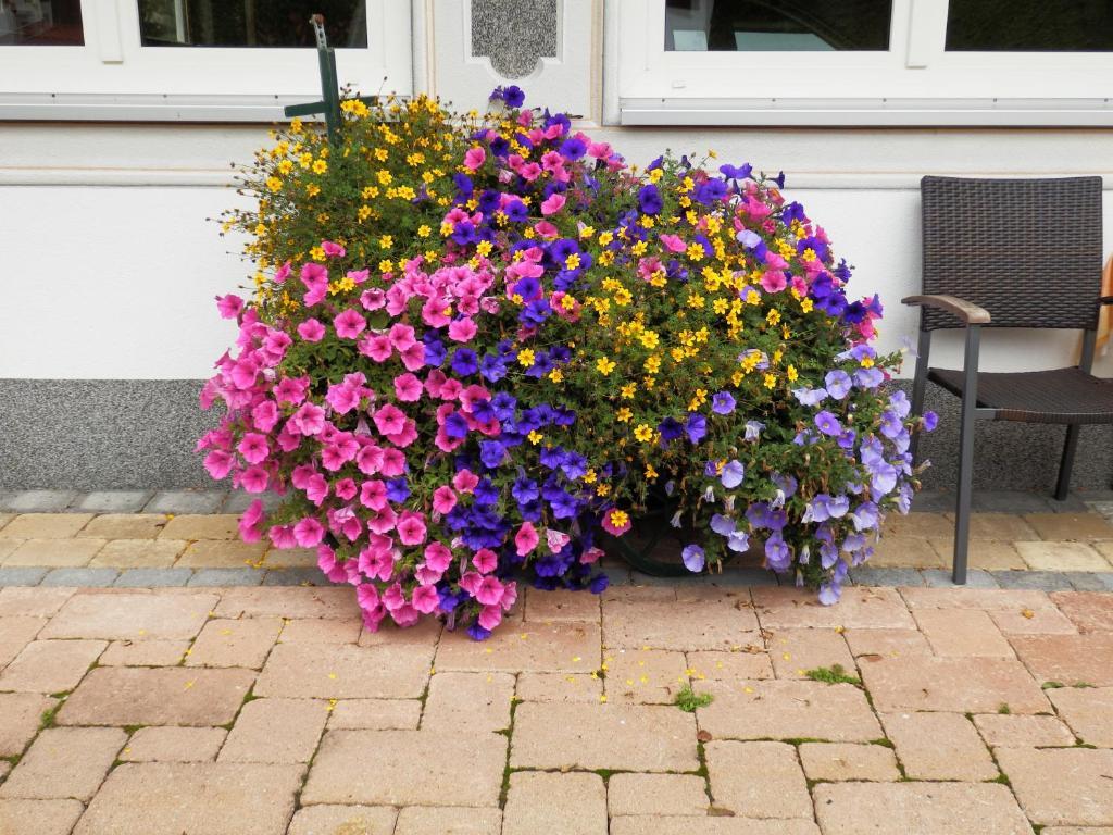 Haus Seebach Berwang Eksteriør billede
